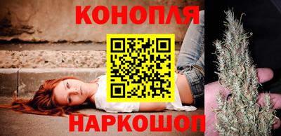 сатива Аргун