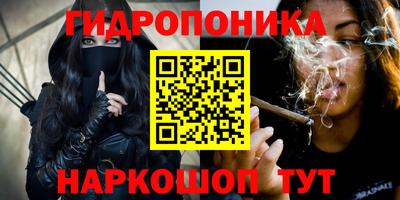 сатива Аргун