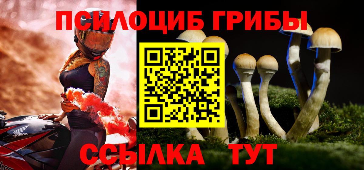 Псилоцибиновые грибы Psilocybe  Вход с VPN  Знаменск 