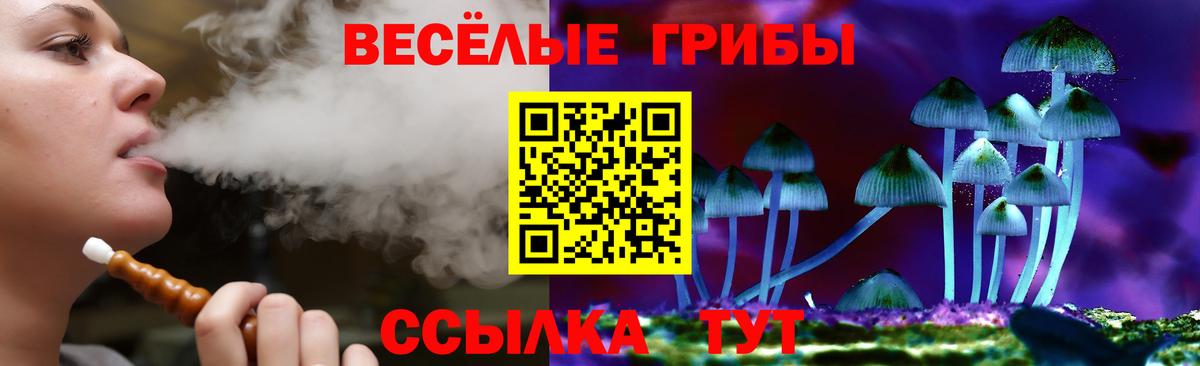 Псилоцибиновые грибы GOLDEN TEACHER Знаменск