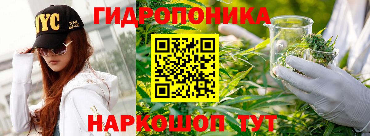 Конопля AK-47 Знаменск